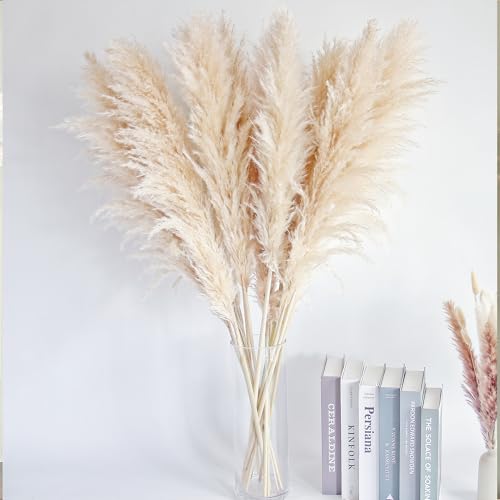 40 Inch Natural Pampas Grass Stems - Boho Wedding & Home Decor - Variation of THIS listing