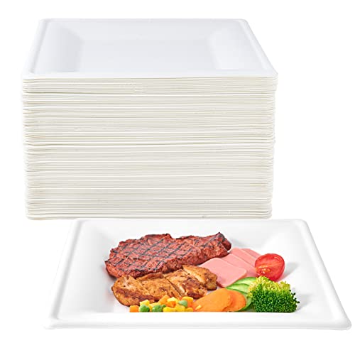 ECOLipak 150 Piecs Compostable Square Paper Plates, 10 inch, White