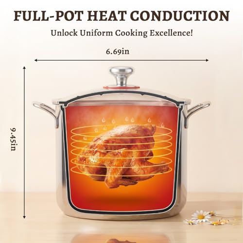 Ptaciow 7 Quart Titanium Soup Pot - Healthy Non-Stick Cooking, Even Heating