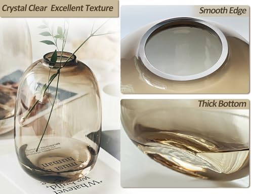 GeLive Brown Glass Vase - Round Flower Bottle for Centerpieces & Home Decor