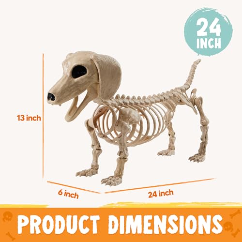 24-Inch Poseable Halloween Dog Skeleton Prop for Indoor Outdoor Decor