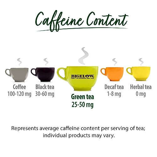 Green Tea Bags - 40 Count Pack of 6 | Classic Delicate Green Tea