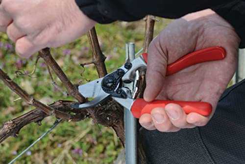 Felco F7 Large Rotating Handle Pruning Shears – Swiss-Made Garden Clippers