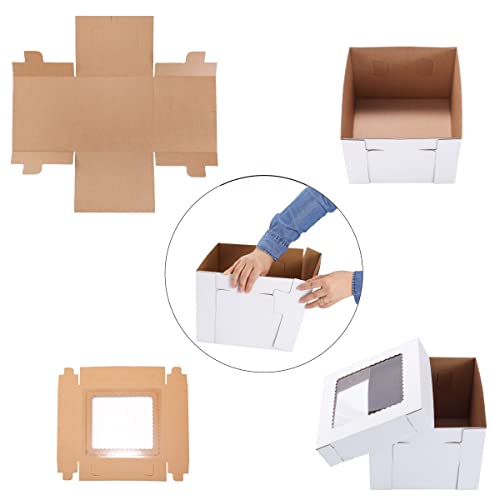 Tall Cake Boxes 10x10x12 Inch for Tier Cakes - 10 Pack with Display Window & Instructions