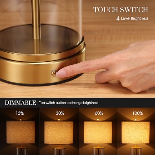 Antique Brass 24-Inch Battery-Powered Cordless Table Lamp with Touch Dimmer