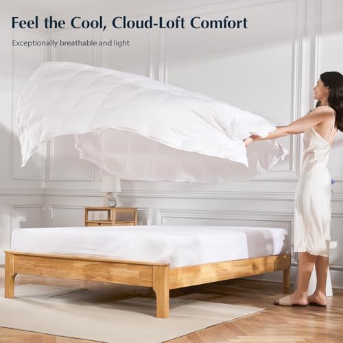 Pacific Coast White Twin Size Goose Feather Down Fiber Comforter Summer Duvet Insert, Ultra Soft & Breathable