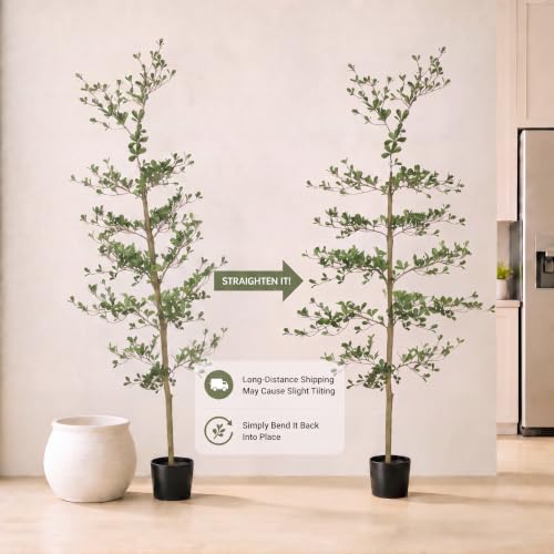6ft Artificial Black Olive Tree with Natural Trunk - Realistic Foliage, Shaping Allowed