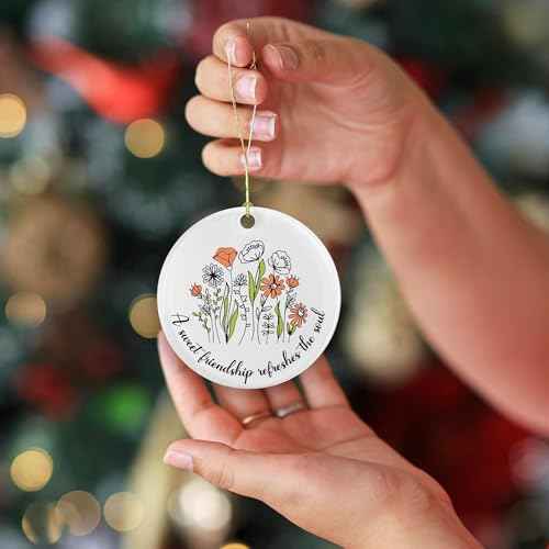 Wrappiness Friendship Ornament Gifts for Women - Christian Art Gifts for Best Friend, Besties, Sister Inspirational Ceramic Christmas Ornaments - A Sweet Friendship Refreshes The Soul Hanging D?cor