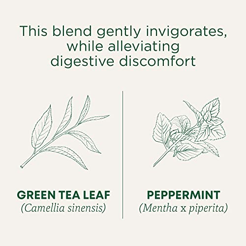 Organic Green Tea with Peppermint - Digestive & Nausea Relief, 96 Bags