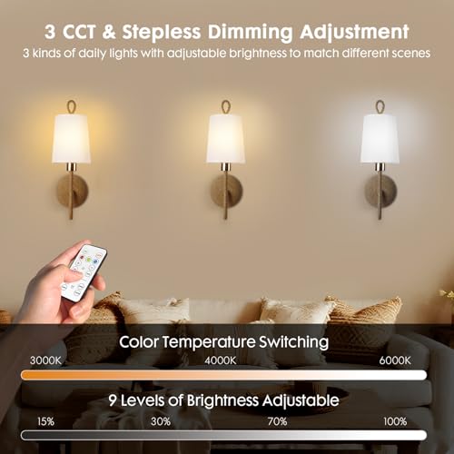 Set of 2 Battery-Operated Boho Wall Sconce Lamps with Remote – Rechargeable LED Rattan Lights for Bedroom & Living Room
