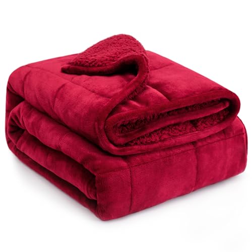 Lofus Burgundy Weighted Blanket Queen Size 60" x 80" 15 lbs for Adults