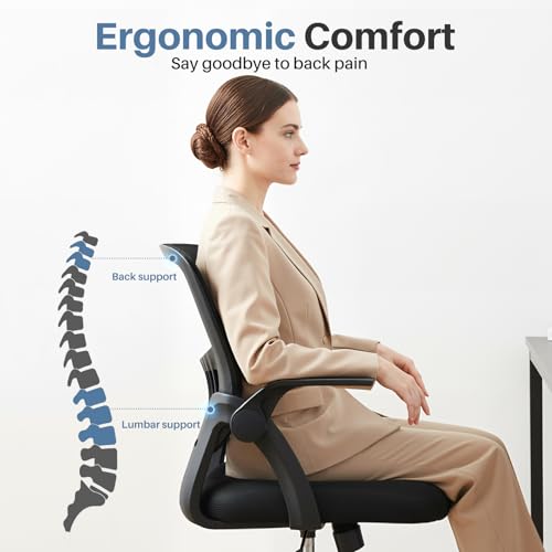 DUMOS Ergonomic Office Desk Chair with Lumbar Support, Adjustable Height, Black, 23.8 x 22.3 x 38.4 inches