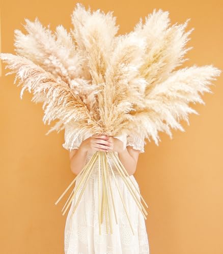 60 Stems Tall Pampas Grass Decor - Natural Beige for Wedding & Boho Home - Variation of THIS listing