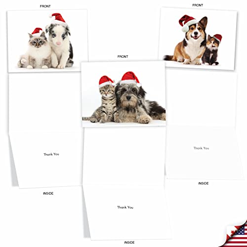 Best Card Co 20 Christmas Thank You Mini Bulk Notecards