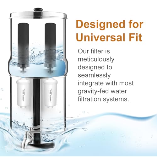 Water Filter Replacement for Berkey Gravity System - 2 Black Carbon & 2 Fluoride Filters