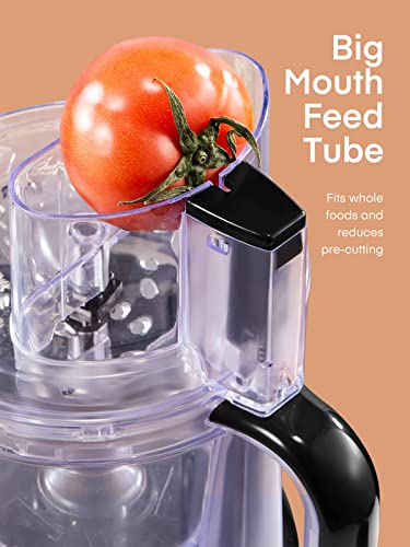 12-Cup Food Processor with Multiple Attachments, BPA-Free Stainless Steel, 2-Speed Control