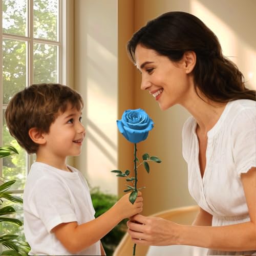 Light Blue Single Forever Rose Gift for Women & Men, Romantic Floral Bouquet