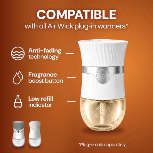 Air Wick Plug-In Refills - Caribbean Sweet Grass & Sandalwood, Essential Oil, 10 Count
