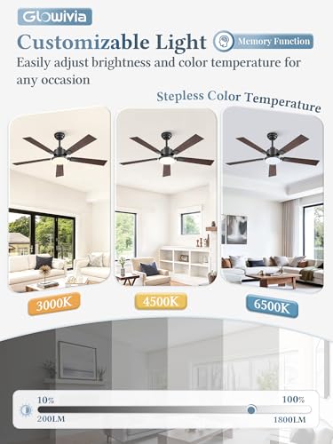 Black 52 Inch Ceiling Fan with Dimmable 3000-6000K Lights Remote Control - Reversible Blades