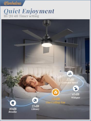 Large Ceiling Fan with Lights - 48 Inch Black Remote-Controlled Modern Fan