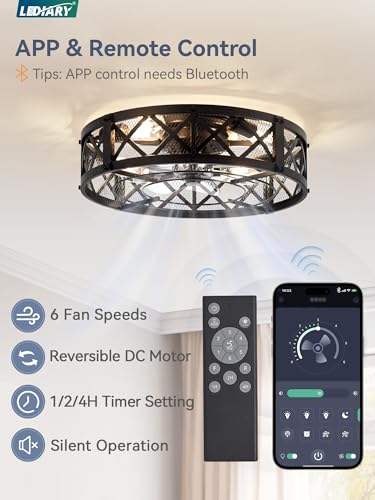 20-Inch Black Caged Farmhouse Ceiling Fan with Light - Flush Mount, Remote & App Control