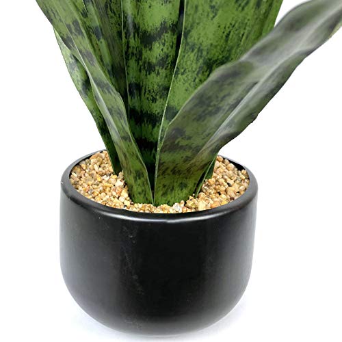 Bird Fiy Faux Snake Plant 22.5 Inches with White Pot - Artificial Indoor & Outdoor Decor