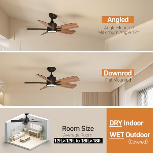 TALOYA 42 Inch Black Ceiling Fan with Lights Remote Control Dimmable Reversible DC Motor