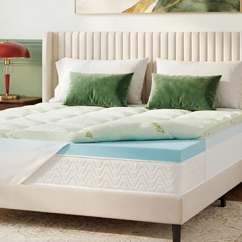 GRUSIGN Queen Memory Foam Mattress Topper 4 Inch Dual Layer Gel & Plush Pillow Top, Green, Deep Pocket