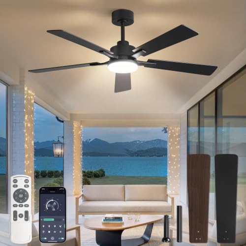 Black 52 Inch Ceiling Fan with Lights & Remote Control - DC Motor & APP