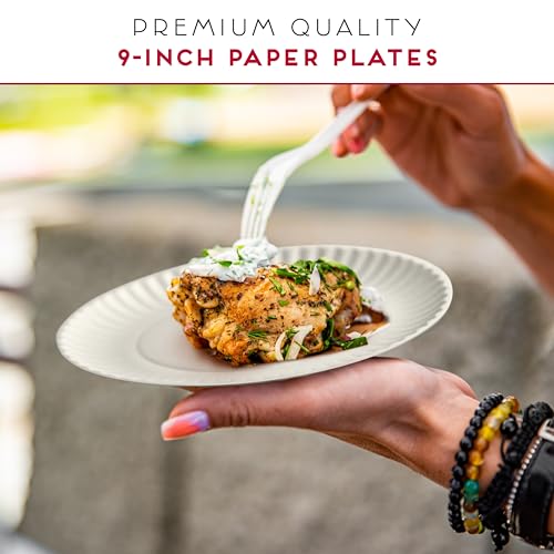 9-Inch Disposable Paper Plates - Bulk Pack of 500 for Parties & Meals - Eco-Friendly Dinnerware