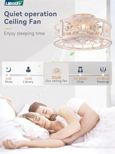 16in Caged Low Profile Ceiling Fan Light with Remote White & Gold - LEDIARY