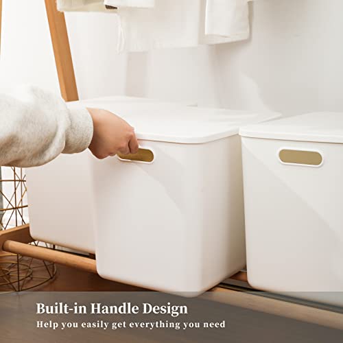 Plastic Storage Baskets with Lids 6-Pack Large & Small Organizers for Shelves, Drawers, Home & Office - 4XL+2L