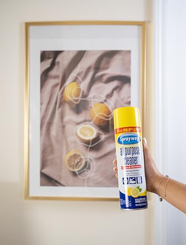 Sprayway All Purpose Cleaner Foaming Spray Lemon Scent 19oz 6 Pack