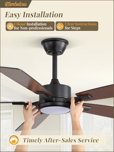 Fanbulous 52 Inch Ceiling Fan with Lights Black Remote & App Control