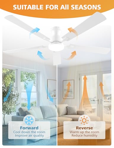 60 Inch Ceiling Fan with Lights - Remote & App Control, Dimmable LED, Reversible Flush Mount, White Variation