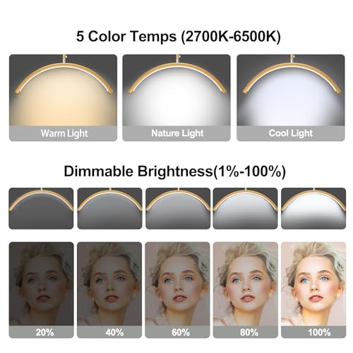 AURELLE Half Moon Lash Light - Adjustable LED Floor Lamp with 4X Magnifier & Phone Holder - Gold