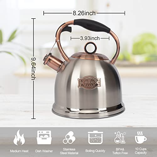 Silver Whistling Stovetop Tea Kettle 3.0 Qt Food Grade Stainless Steel - Fast Boil