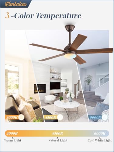 Fanbulous Oil Bronze 48-Inch Ceiling Fan with Light & Remote, Reversible Blades