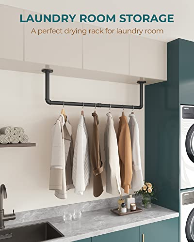OROPY 38.4" Industrial Pipe Clothes Rack Wall Mounted, Heavy Duty, 2