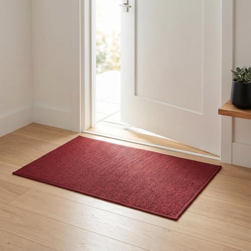 Artoid Mode 17" x 29" Red Absorbent Non-Slip Doormat – Natural Rubber Back, Washable Holiday Floor Mat