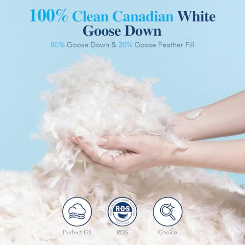 King White Goose Down Pillow 1050 Fill Power Plush Support - Variation: White / King / 1