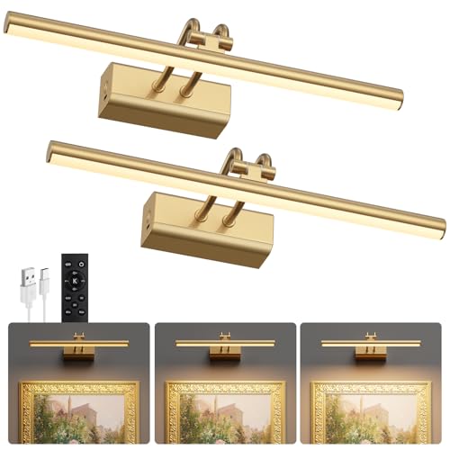 Picture Light for Wall Set of 2, Gold