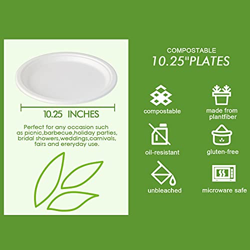 500 Pack Compostable 10.25 Inch Sugarcane Fiber Plates - White, Heavy-Duty
