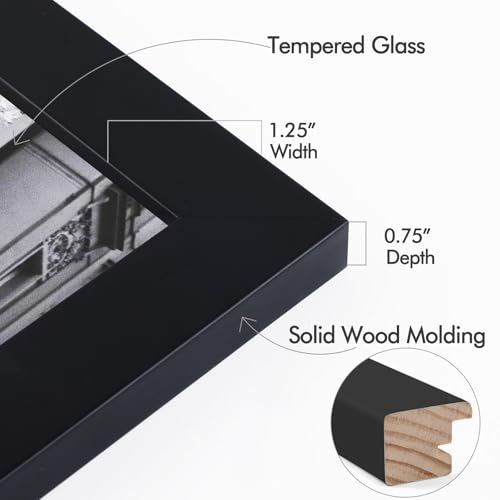 Golden State Art 16x20 Black Wood Picture Frame with Real Glass - 1 Pack
