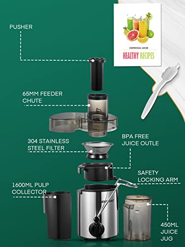 HOUSNAT Silver Juicer Machine for Whole Fruits & Vegetables, 3 Speeds