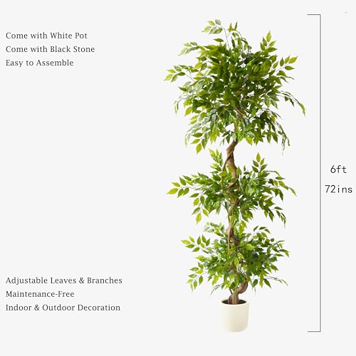 6ft Artificial Ficus Tree with White Planter - Indoor Home Decor, Office Plant