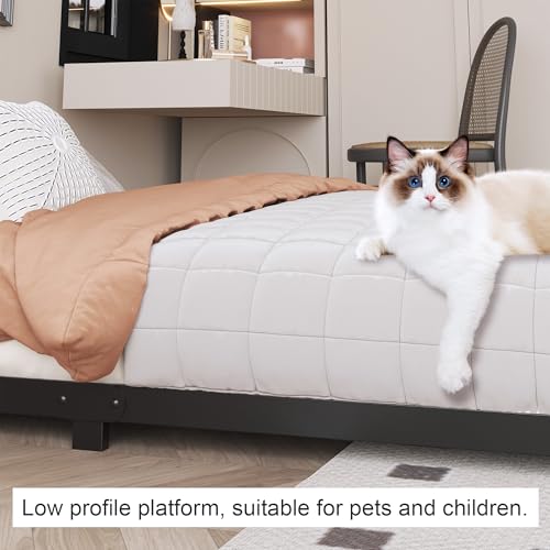 Likelalaso 3 Inch Full Size Low Profile Bed Frame with Rounded Corners - No Box Spring Needed