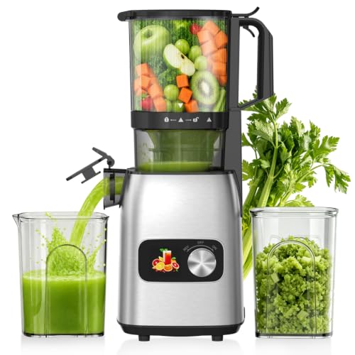 Cold Press Juicer Masticating Slow Auger Juice Extractor with Twist