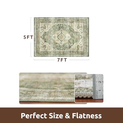 AMOAMI-Area Rug 5X7 Rugs for Living Room-Vintage Soft Green