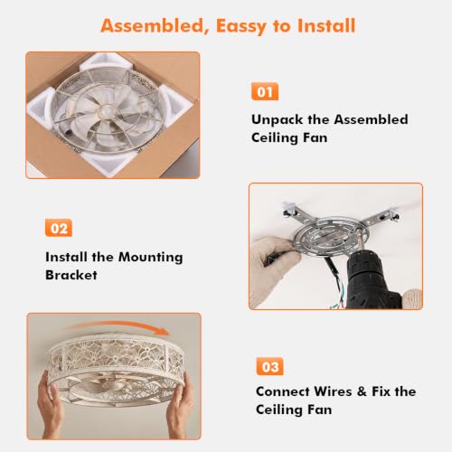 White Gold 18-inch Caged Ceiling Fan with Light Remote Control